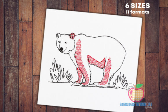 Big Male Bear Walking in the Jungle Review