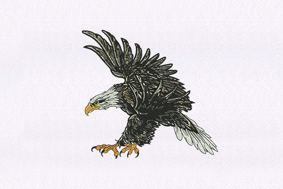 Descending Eagle Design: A Review for Boutique Apparel