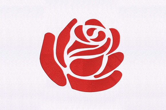 Silhouetted Rose Petal: A Designer’s Review