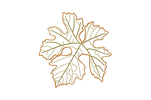Single Autumn Falling Leaf: A Designer’s Review